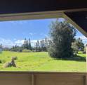 65-1305 Kawaihae Rd - Photo 23