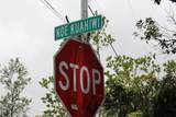  Noe Kuahiwi Rd - Photo 2