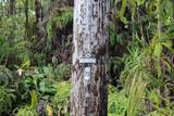  Noe Kuahiwi Rd - Photo 6