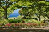 56-113 Pualani Road - Photo 1