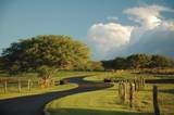 56-113 Pualani Road - Photo 5