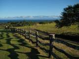 56-113 Pualani Road - Photo 9