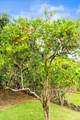 1531 Maunakai St - Photo 26
