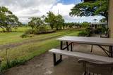 195 Waikahe Rd - Photo 13