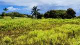 31-154 Hawaii Belt Rd - Photo 4