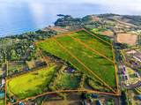  Kauapea Rd - Photo 4