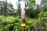  Lehua Rd - Photo 14