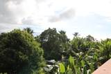 81-6587 Mamalahoa  Highway - Photo 17