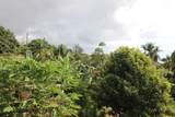 81-6587 Mamalahoa  Highway - Photo 18