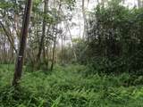  Niihau Rd - Photo 2