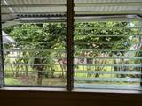 588-A Akahai Pl - Photo 8
