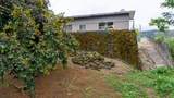 4460 Punee Rd - Photo 20