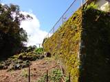 4460 Punee Rd - Photo 21
