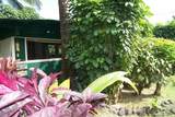 7143 Alamihi Rd - Photo 27