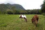 7143 Alamihi Rd - Photo 30