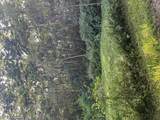  Noni Farm Rd - Photo 5
