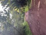  Noni Farm Rd - Photo 9