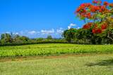 4469 Waiakalua St - Photo 27