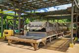 4469 Waiakalua St - Photo 29