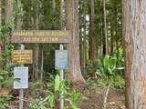 44-3110 Kalopa Mauka Rd - Photo 29