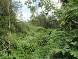  Flower Rd - Photo 1