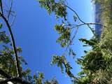 39-3195 Old Mamalahoa Highway - Photo 11