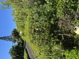 39-3195 Old Mamalahoa Highway - Photo 13