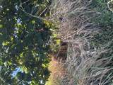 39-3195 Old Mamalahoa Highway - Photo 14