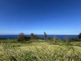 39-3195 Old Mamalahoa Highway - Photo 3