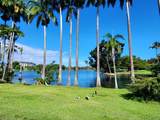 400 Hualani St - Photo 6