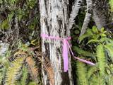 16-2140 Uhini Ana Rd - Photo 13
