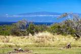 56-135 Pualani Rd - Photo 4
