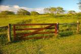 56-135 Pualani Rd - Photo 7