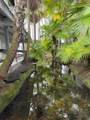 400 Hualani St - Photo 27