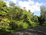  Palainui Ave - Photo 2
