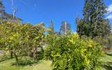 19-3945 Keonelehua Ave - Photo 4