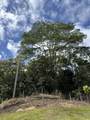  Kaueleau Rd - Photo 3