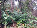 19-3950 Hoonanea St - Photo 1