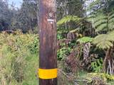 19-3950 Hoonanea St - Photo 13