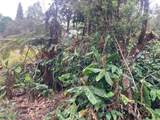 19-3950 Hoonanea St - Photo 2
