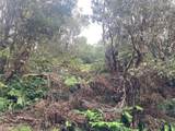 19-3950 Hoonanea St - Photo 7