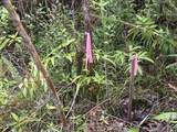  Road 6 (Ooaa) - Photo 10