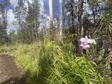  Road 6 (Ooaa) - Photo 2