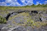 12-4786 Kaimu Chain Of Craters Rd - Photo 15