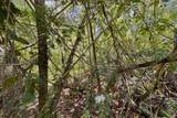 12-4786 Kaimu Chain Of Craters Rd - Photo 16