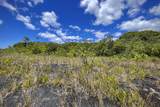 12-4786 Kaimu Chain Of Craters Rd - Photo 18