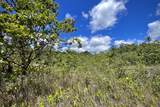 12-4786 Kaimu Chain Of Craters Rd - Photo 20