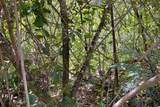 12-4786 Kaimu Chain Of Craters Rd - Photo 21