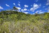 12-4786 Kaimu Chain Of Craters Rd - Photo 3