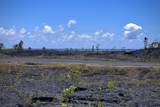 12-4786 Kaimu Chain Of Craters Rd - Photo 5